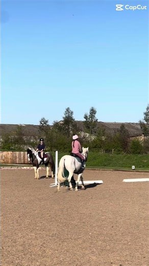 he’s 16 yrs old and 16.1-16.2 hands (HES MASSIVE😮)