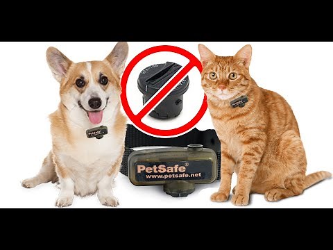 PetSafe Collar Battery Replacement Hack (Simple Method)