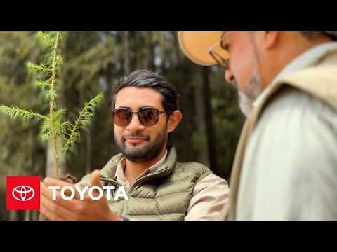 Partnering for Pollinators: Toyota’s 26,000-Acre Commitment | Toyota