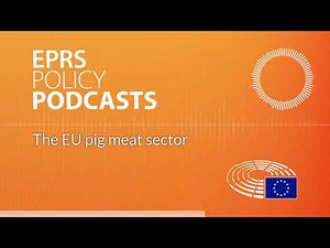 The EU pig meat sector [Policy Podcast]