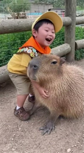 Real Life Russell Meets Capybara!