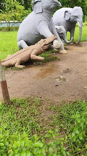35K views · 131 reactions | Crocodile attack on elephant. The statue #statues #elephant #crocodile | Charlie chap | Facebook