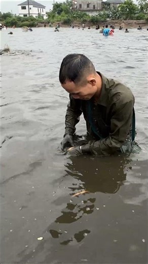 Nơm cá chép đẹp #fishing