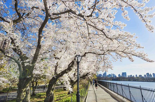Is April a Good Time to Visit NYC?
