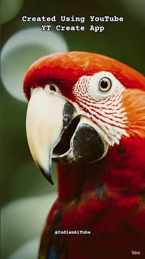 Realistic Parrots Created Using YouTube YT Create App #ytcreate #youtube #veo3 #aishorts #shorts #ai