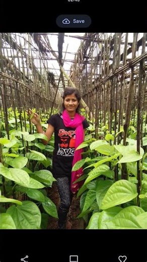 we are in 2015#ytshorts #jitarani odia chanel#trending #viralsong