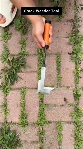 L-Shaped Stainless Steel Crack and Crevice Weeding Tool. #gardening #gardentools #diy #relatable