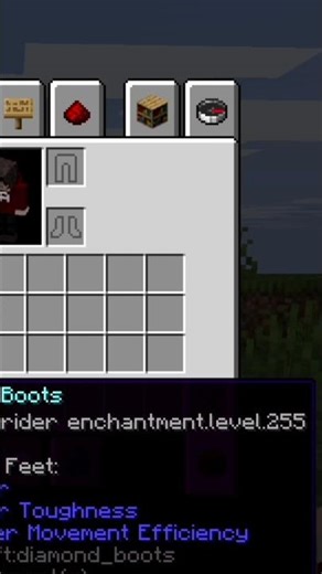 What Happens If I Put Depth Strider 255 on Boots in Minecraft ?