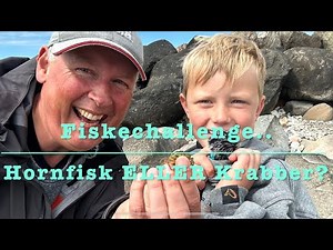 Fiskechallenge! Hornfisk ELLER Krabber!