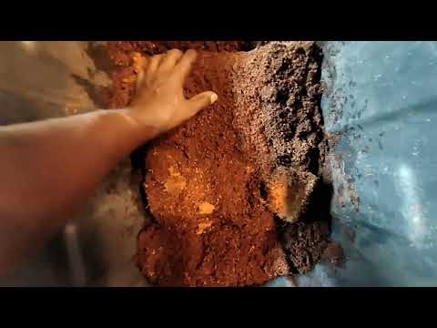 Creeping back in making (Supreme King's Dirt) an about to start planting clones