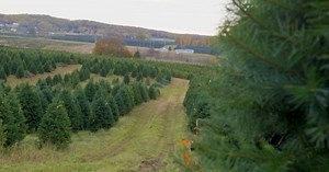 Destination Michigan:Dutchman Tree Farms Season 10 Episode 1