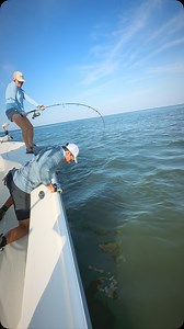 9.2K views · 5.8K reactions | Bubble Gum is Moe’s go-to color for lots of different species, and it doesn’t bother the fish at all  #tarpon #zmanfishing #fishshimano #anyfishanywater #builtforthewild | Journey South Outfitters | Facebook