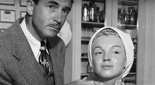 Part Two: Hollywood Elite Wellness Guide