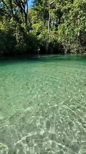 4.2K views · 33 reactions | Weeki wachee spring park.. a place you have to visit in Florida #beautiful #floridasprings | La Guera | Facebook