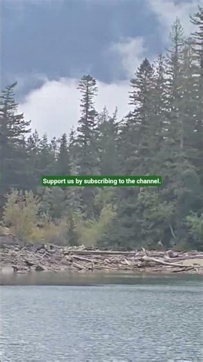 Lindeman Lake | A Journey Through Canadian Nature