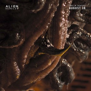 In 10 days, the hunt is on. Get tickets now and experience the terror of Alien: Romulus in theaters August 16. https://www.bbtheatres.com/showtimes/302445-alien-romulus/ #BBTheatres #ComingSoon | B&B Theatres Conway 12