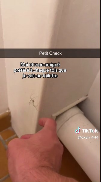 Découvrez l'araignée qui fait rire !