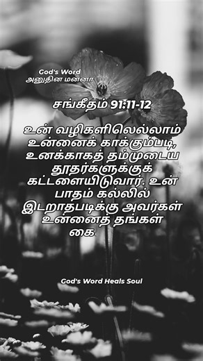 God's Word (அனுதின மன்னா) - சங்கீதம் 91:11-12 | Psalms 91:11-12 | Naan Emmathiram | Benny Joshua |