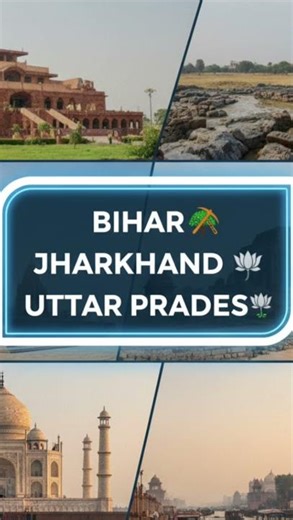 WHAT IS POLYTECHNIC ???#polytechnic #engineering #viralvideo #yotubeshorts #collegelife