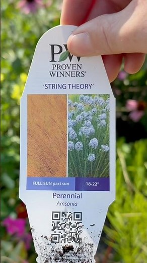 Planting Spring Blooming Perennials!