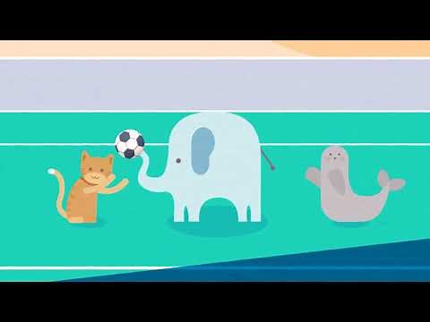 Nonlinear Pedagogy Explainer Video