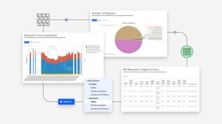 利用 IBM Z IntelliMagic Vision for z/OS 的 z/OS Connect