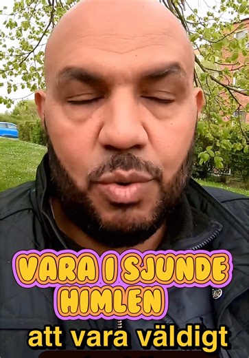 Learn Swedish: Fun Language Lessons