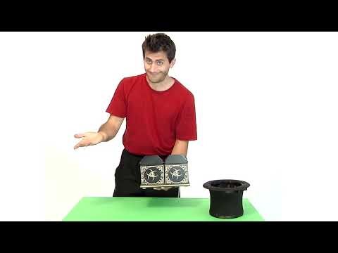 Split Die Box - Nera