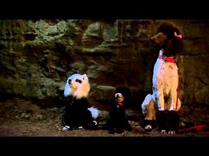 Dog With A Blog - Finding Princess & The Puppies