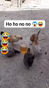 La prochaine fois buvez avec modération 😱😂 | AZa Lha