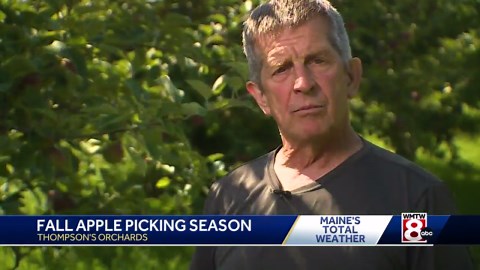 Apple Picking Season off to a great start