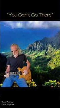 “You Can’t Go There” - Daily looper Improvisation - Tone Poet: Terry Gayhart