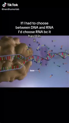 Choosing RNA Over DNA: Understanding Key Differences