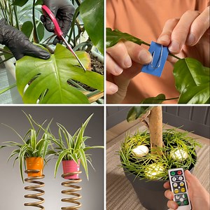 6.9M views · 63K reactions | Clever plant hacks to keep your garden thriving!  | 5-Minute MAGIC | Facebook
