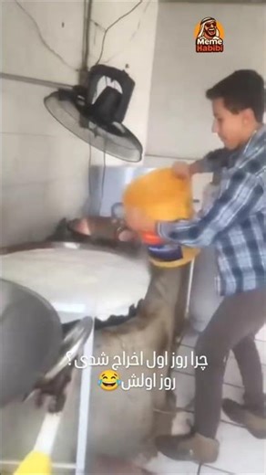 When Milk Turns Into a Volcano 🌋😂 #shorts #viral