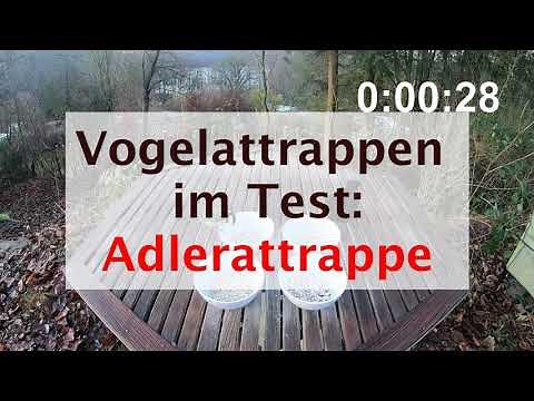 Adler-Attrappe: Wirksam oder unwirksam? | Vogelattrappen im Test