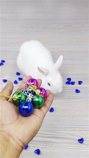 🐇✨ Satisfying 🌈 Reverse Video ASMR 🐰🌹 #satisfyingloop #satisfying #reverse #ytshorts #shorts #asmr