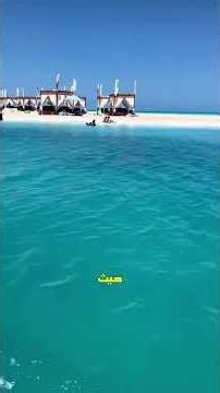 أجمل الشواطئ في العالم العربي #statistics #احصائيات