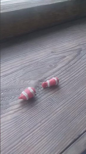 Finding Nemo barracuda attack / coral death (German🇩🇪) PAL