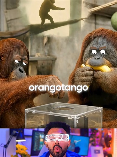 Orangotangos: Primatas Incrivelmente Inteligentes