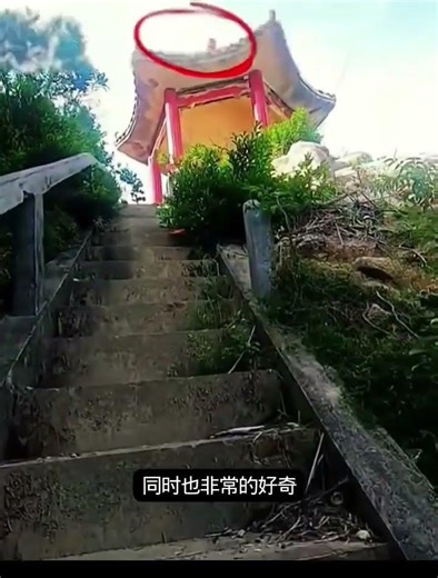 A strange scene was encountered while climbing up #paranormal event