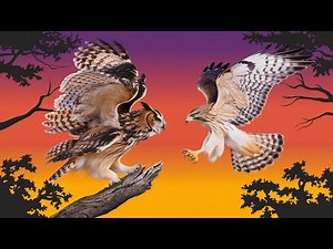 Fierce Mother Owl vs Ruthless Hawk: Epic Battle for Survival!