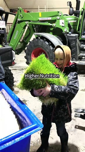 How This Container Produces Fresh Livestock Feed in 7 Days | Hydroponic Fodder System #hydroponics