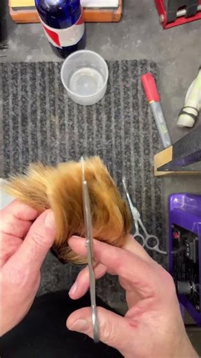 Testing German Style Barber Shears Prior to Sharpening on a Twice As Sharp - From Livestream