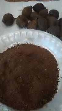 DIY Black Walnut Shell Powder