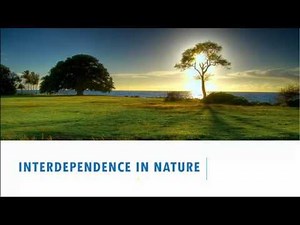 Interdependence in Nature - 5th Standard, Science, CBSE