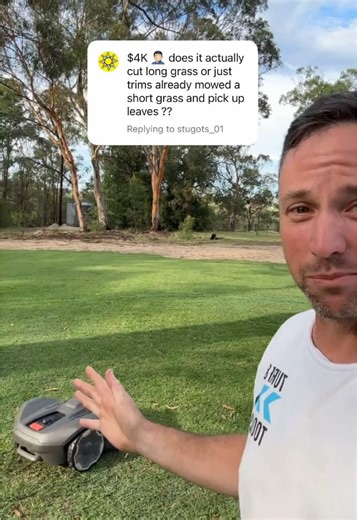 Why Robot Mowers Struggle with Overgrown Lawns