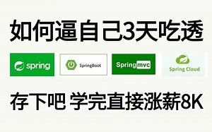 2024最新最全最详细的 Spring SpringBoot springmvc springcloud面试系列教程丨3天彻底吃透Spring全家桶，涨薪8K！