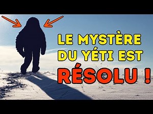 Les Scientifiques Ont Enfin Découvert L'identité du Yéti
