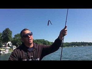 Lake Delavan Bass